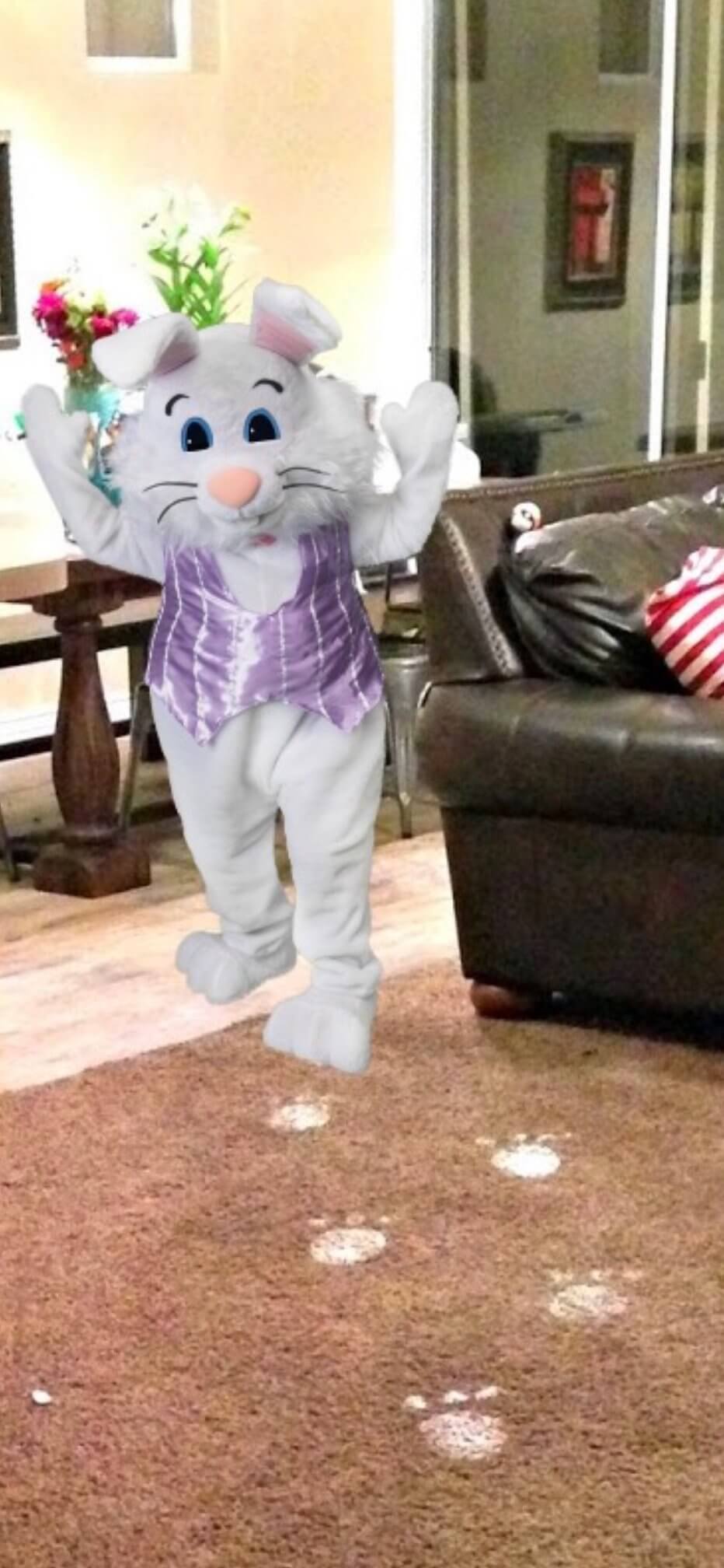 Catch the Easter Bunny